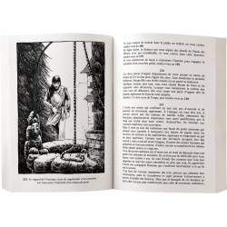 Livre-Jeux : Fleurir en Hivers