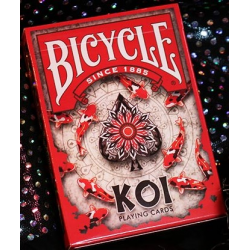 Jeu de 54 cartes bicycle House Blend