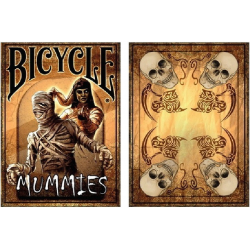 Jeu de 54 cartes bicycle House Blend