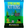 Streaking Kittens - Extension Exploding Kittens