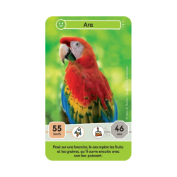 Défis Nature Junior - Mystères de la Jungle