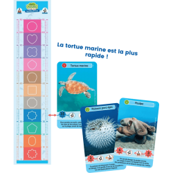 Défis Nature Junior - Merveilles de la Mer