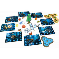 Photosynthesis - Extension Under the Moonlight