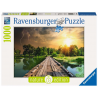 Puzzle 1000 pièces - Ravensburger - Lumière Mystique