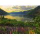 Puzzle 1000 pièces - Ravensburger - Fjord en Norvège