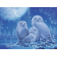 Puzzle 500 pièces - Ravensburger - Chouettes au Clair de Lune