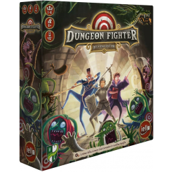 Dungeon Fighter