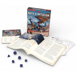 Donjons et Dragons Cinquième édition - kit d'initiation