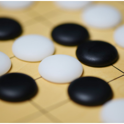 Pierres de Go 22mm convexes avec bols en plastique