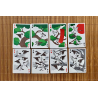Jeu de 54 cartes Bicycle Sparrow Hanafuda Fusion