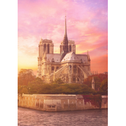 Puzzle Mystère - Notre-Dame 200 ans plus tard