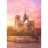 Puzzle Mystère - Notre-Dame 200 ans plus tard