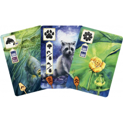 Meadow - Au Fil de l'Eau