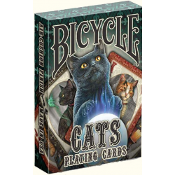 Jeu de 54 cartes bicycle House Blend