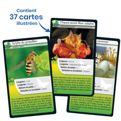 Défis Nature - Abeilles et autres pollinisateurs