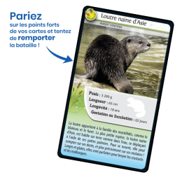 Défis Nature - Animaux d'eau douce