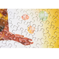 ART&MEEPLE – Puzzle 1000 pièces 68x48cm Chakra