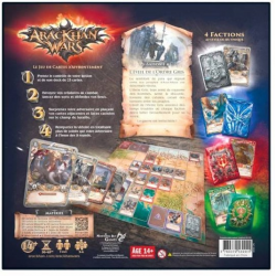 Arackhan Wars - l'Eveil de l'Ordre Gris