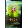 Rise - Booster Alpha Set Standard Edition (ANGLAIS)