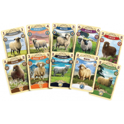 Great Western Trail - Nouvelle Zélande