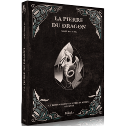 Journal d'un Héros - La Pierre du Dragon