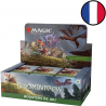 MTG Bloomburrow - Display de 36 Boosters de jeu FR