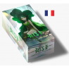 Rise - Display de 20 Boosters Fresh FR