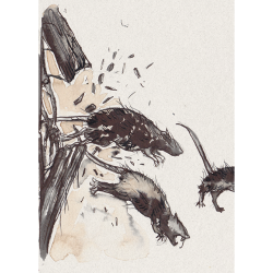 Quand les murs me parlent - Jeu de Rôle Solo