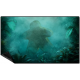 Tapis de jeu 60x100 Multijeux Forest Meeple