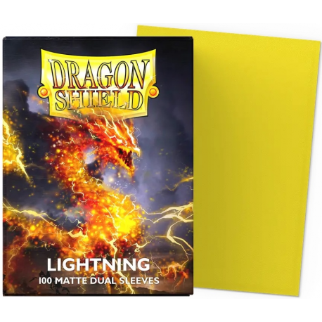 100 Protège-cartes Dragon Shield Matte Dual