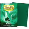 100 Protège-cartes Dragon Shield Matte Dual