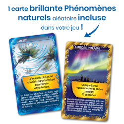 Défis Nature - Constellations