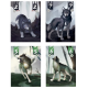 Terres de Loups