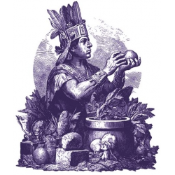 Kronologic - Cuzco 1450 : Extension - La Vallée des Offrandes