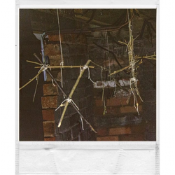 Ne jouer surtout à à ce Jeu – Jeu de Rôle en Solo