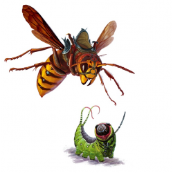 Once Upon a Line : Le Souffle du Papillon