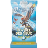Altered Set 4 L'Odyssée des Cieux : Display de 36 Boosters