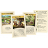 Catan - Extension 5/6 Joueurs : Barbares & Marchands (Refresh)