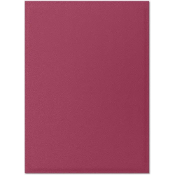 100 Protège-cartes Dragon Shield Matte Dual - Pomegranate & Gold