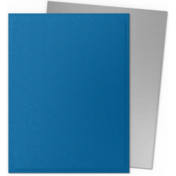 100 Protège-cartes Dragon Shield Matte Dual - Cobalt & Silver