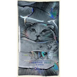 Rise TCG - Prestige 2025 - Boosters FR