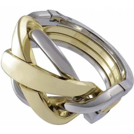 Casse-tête Hanayama Huzzle Ring
