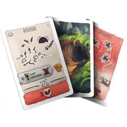 Paleo - Extension The Caves