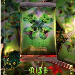 Rise TCG - Prestige 2025 - Display de 20 Boosters
