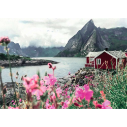 Puzzle 1000 pièces - Ravensburger - Reine, Lofoten, Norvège (Puzzle Highligh)