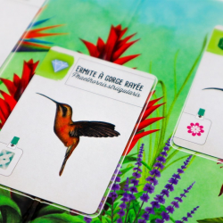 Wingspan - Extension Amériques