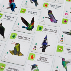 Wingspan - Extension Amériques