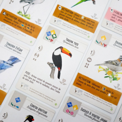 Wingspan - Extension Amériques