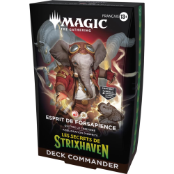 Acheter Magic Lot des Deck Commander Les Secrets de Strixhaven Fr