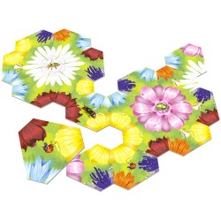 Acheter le jeu de société Petals Biotope Edition